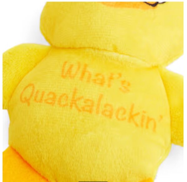 Petco Plush Duck Dog Toy, Small